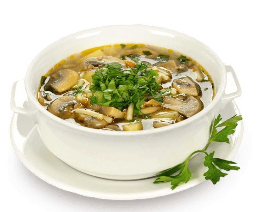 Как приготовить суп из белых свежих грибов: рецепты с курицей, мясом и другими ингредиентами