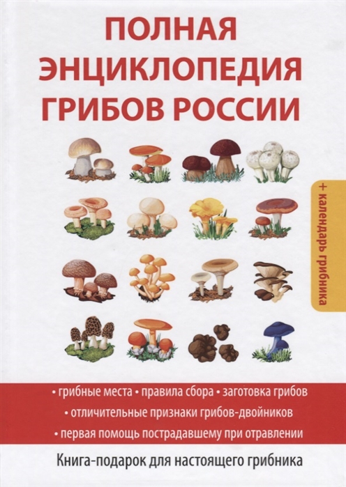 Индейка с грибами в духовке - интересные, разнообразные рецепты