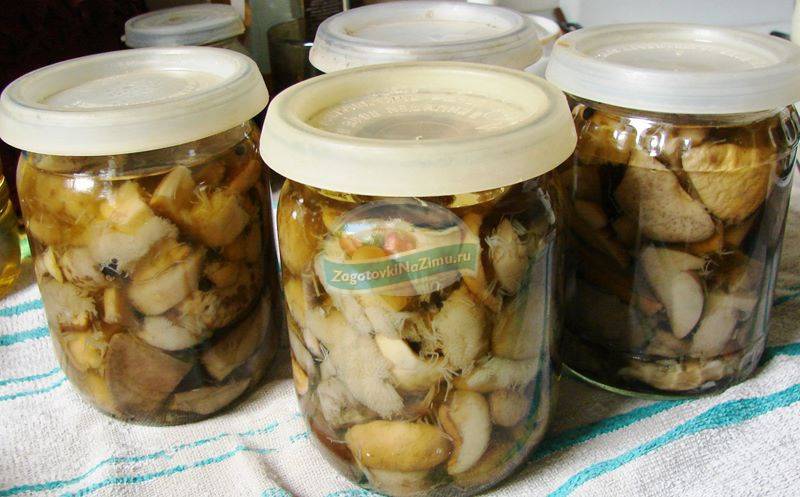Маринованные подберезовики: пошаговый рецепт на зиму, с картинками, как чистить, блюда из грибов