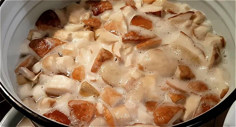 Как мариновать боровики. Как солить белые грибы простой классический вкусный рецепт. Грибы залить водой