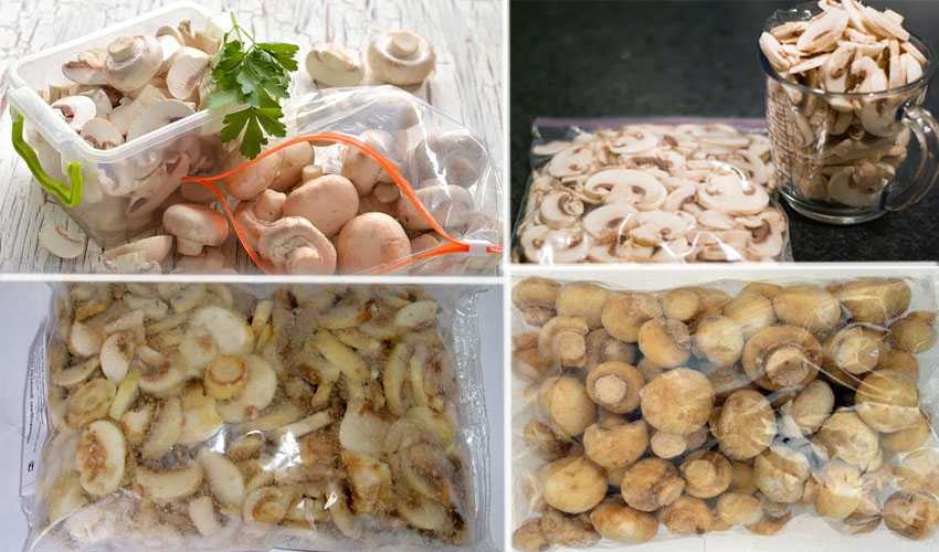 Как сохранить белые грибы: рекомендации к сроку хранения в холодильнике