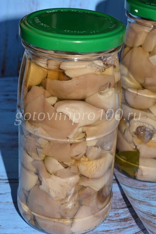 Как мариновать грибы синеножки в домашних условиях? рецепты приготовления подотавников горячим и холодным способом