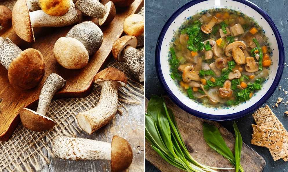 Грибной суп: рецепты супа из белых грибов, с лисичками и грибного супа из шампиньонов