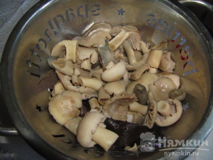 Жареные грибы с луком: как пожарить на сковороде, калорийность, рецепты с морковью, яйцом
