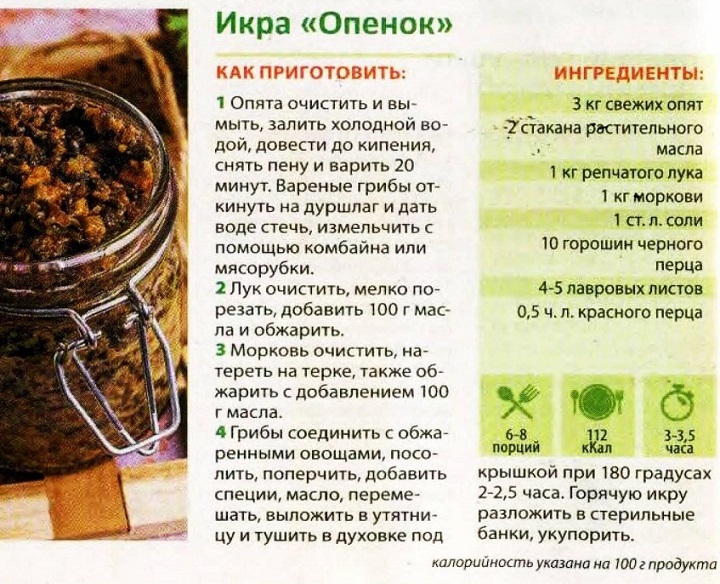Рецепты очень вкусной грибной икры из опят