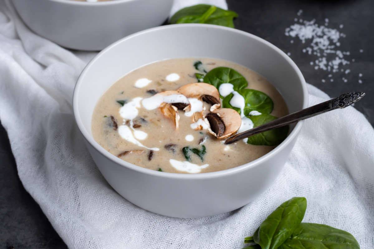 Крем-суп из белых грибов - 6 рецептов из свежих, сухих или замороженных грибов