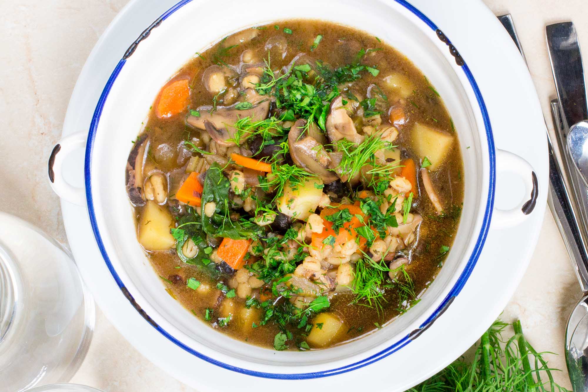 Грибной суп из подберезовиков: 6 классических рецептов супа из свежих грибов