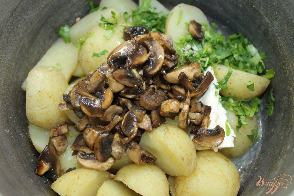 Грибы с луком, жареной и тушеной картошкой: фото, видео, рецепты из картофеля, грибов и лука