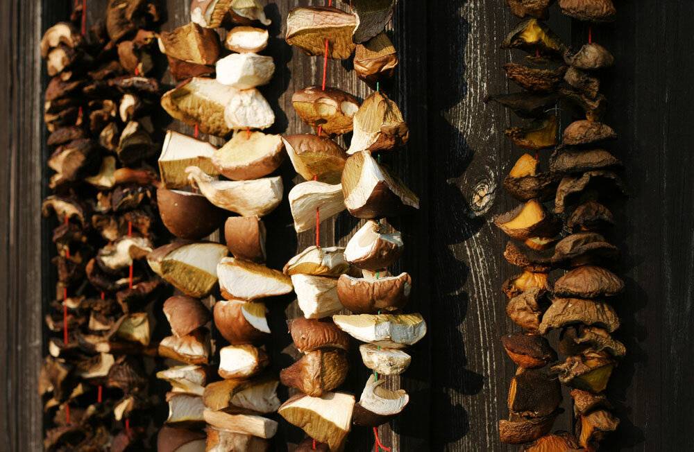 Сушеные грибы сколько варить и как замачивать