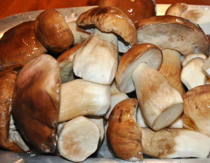 Как варить грибной суп из замороженных грибов