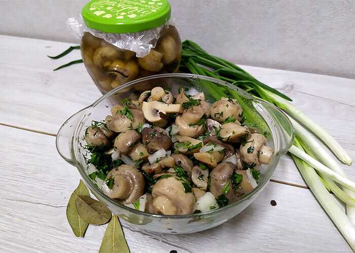 Салаты с грибами шампиньонами, выложенные слоями: фото, рецепты приготовления слоеных блюд с пошаговым описанием