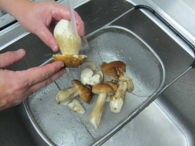 Термическая обработка грибов. кулинарная обработка грибов