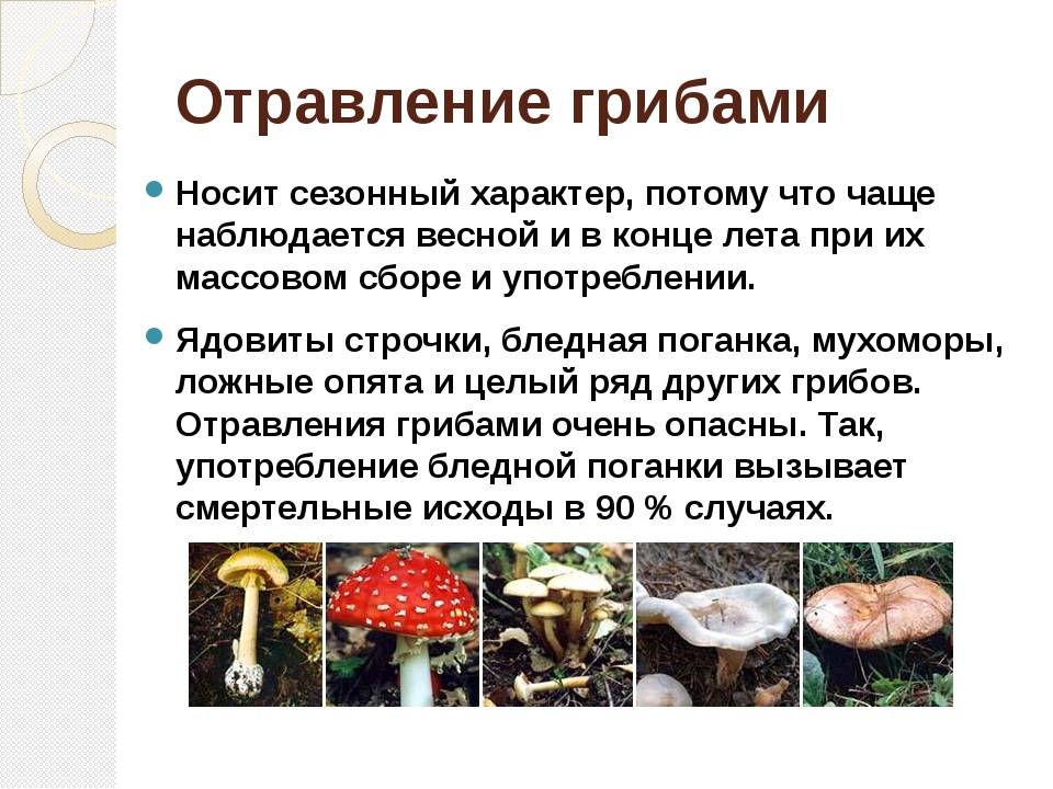 Отравление грибами: причины, симптомы, лечение