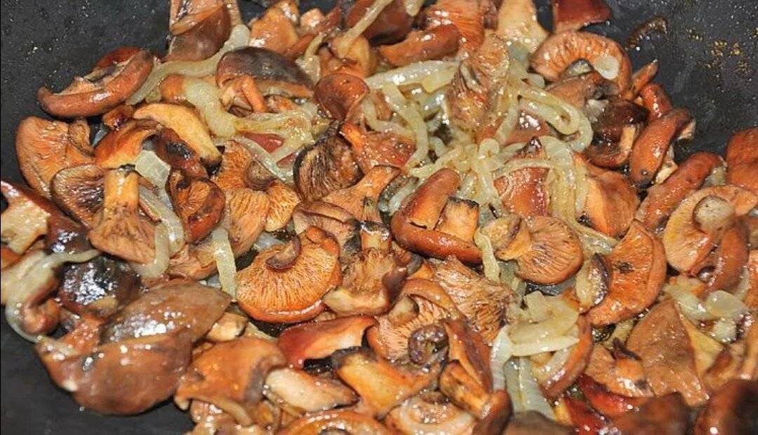 Как вкусно и правильно пожарить грибы рыжики в домашних условиях: рецепты вкусных блюд