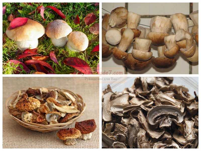 Блюда из сухих грибов: фото, рецепты, что приготовить из сушеных грибов на второе