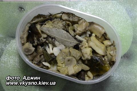 Как правильно и вкусно мариновать грибы зеленушки?