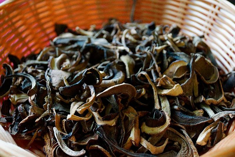 Азиатский лекарь: лучшие рецепты с грибами шиитаке