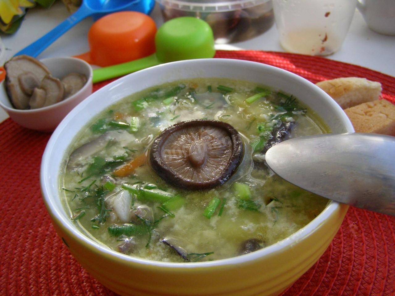 Суп с грибами - как приготовить из свежих, замороженных или сушенных по пошаговым рецептам с фото