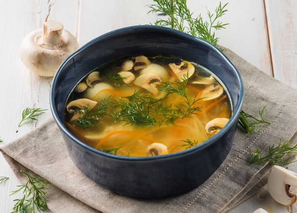 Рецепты грибного супа из свежих шампиньонов с картофелем с фото