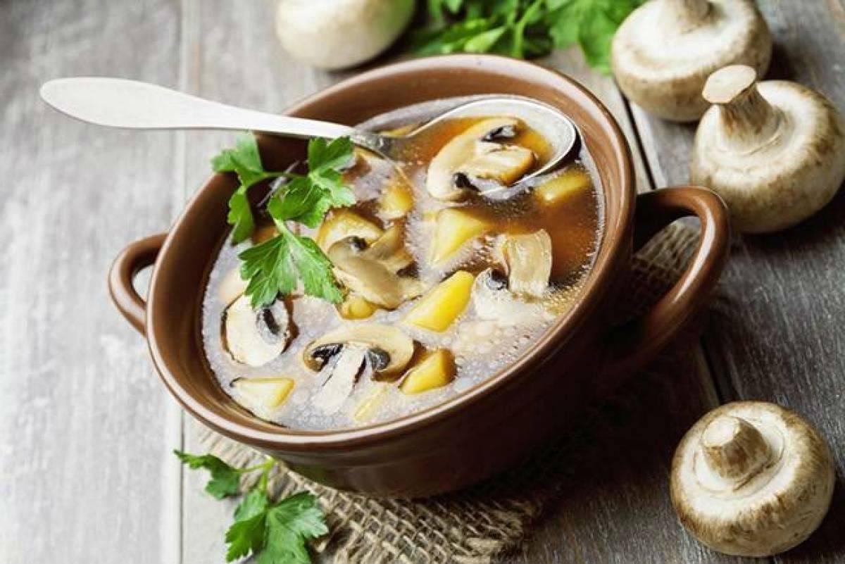 Грибной суп из шампиньонов – 6 классических рецептов