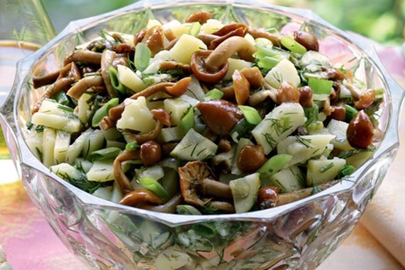 Салат с маринованными грибами и картофелем — рецепты приготовления вкусного салата
салат с маринованными грибами и картофелем. как приготовить слоеный салат с маринованными грибами, картофелем и и солеными огурцами?