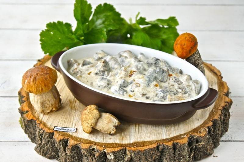 Грибные соусы из шампиньонов со сливками, молоком, сметаной: фото, рецепты, как приготовить подливы с грибами