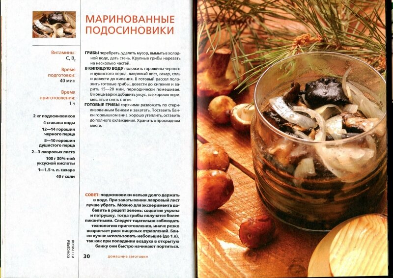 Грибы маринованные на зиму — 5 вкусных рецептов приготовления