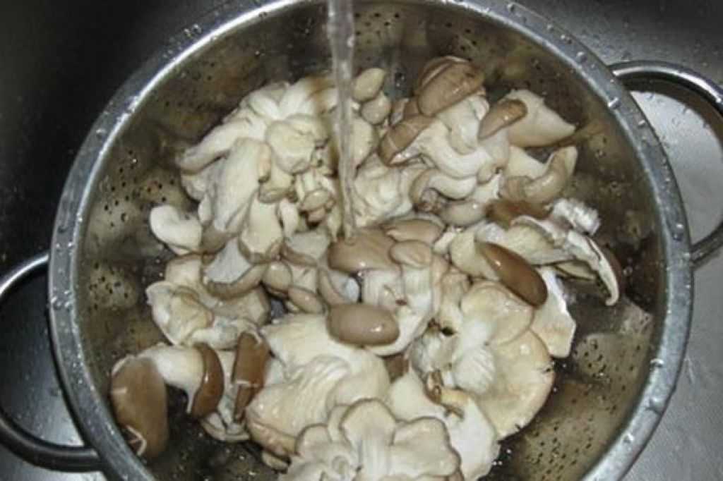 Как правильно чистить вешенки грибы