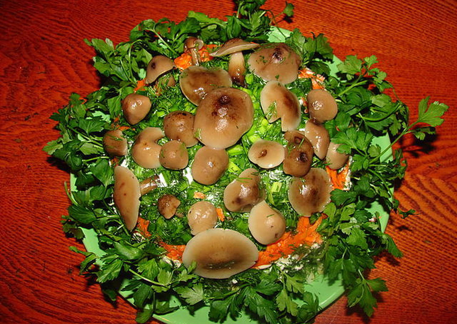 Салат с опятами и ветчиной: 15 рецептов приготовления из маринованных грибов, с солеными огурцами, с сыром с фото в домашних условиях