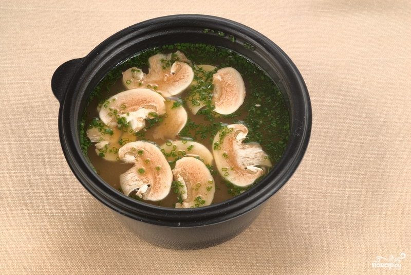 Рецепты грибного супа из свежих шампиньонов с картофелем — как приготовить