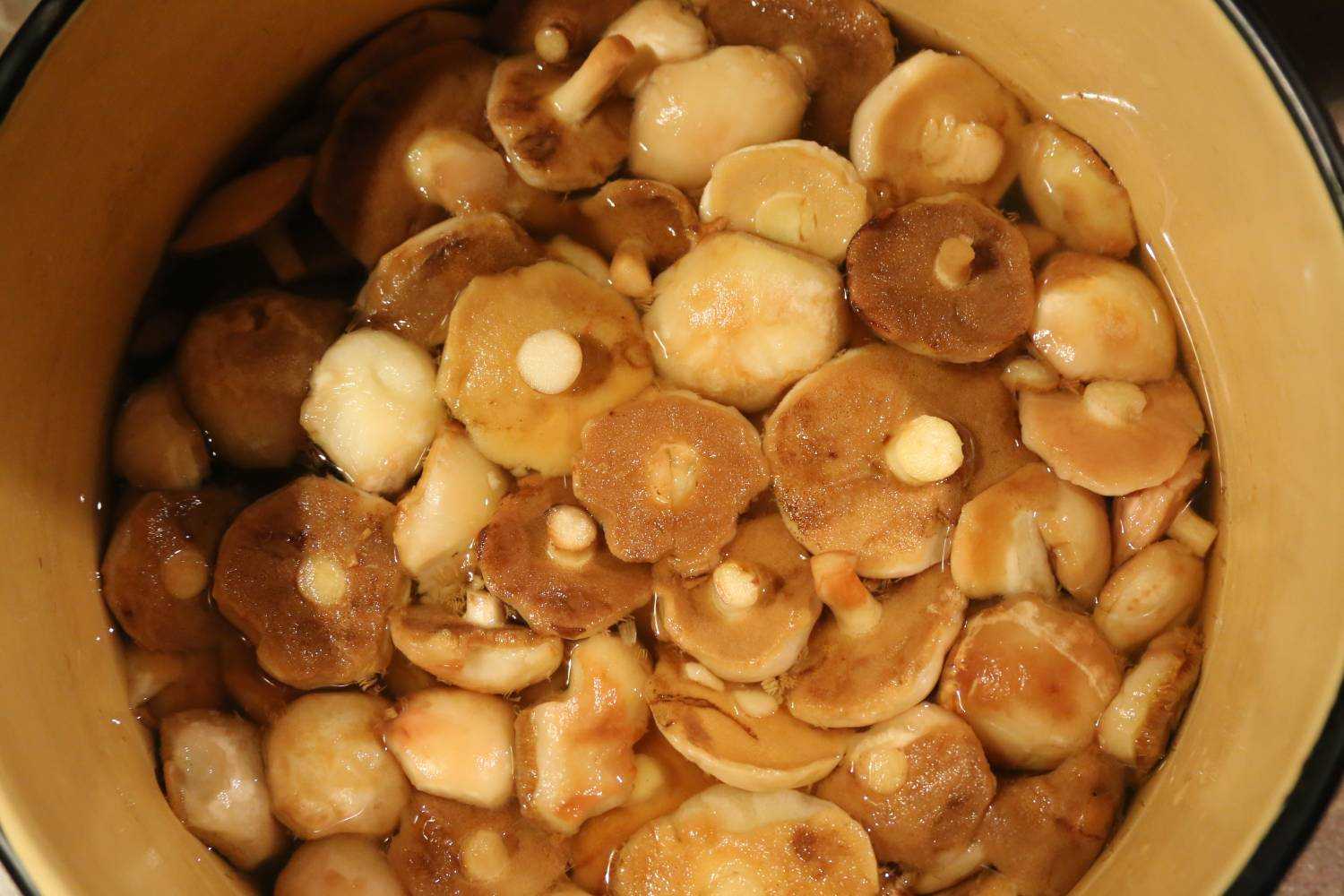 Как хранить свежие грибы в домашних условиях в холодильнике после сбора и чистки