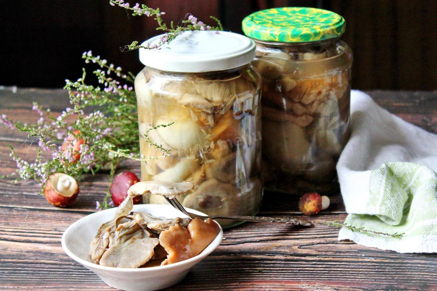 Как мариновать белые грибы в банках на зиму? 6 простых рецептов приготовления в домашних условиях