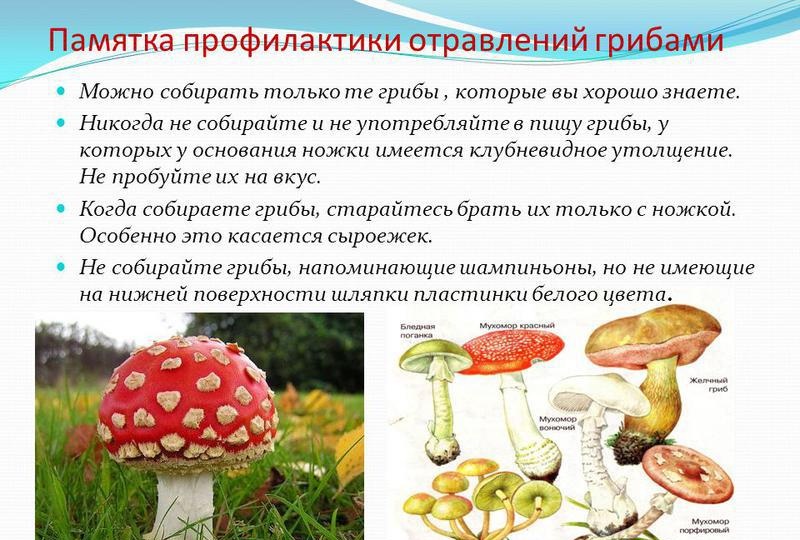 Осторожно с грибами