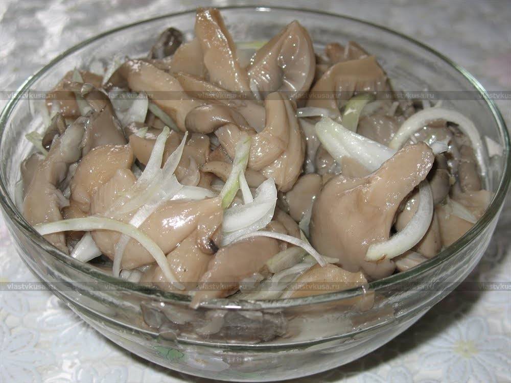Как приготовить грибы вешенки - 10 рецептов