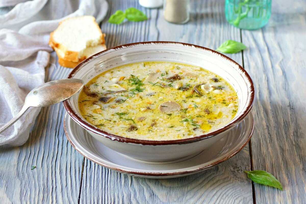 Грибной суп из сушеных грибов - 7 самых вкусных рецептов