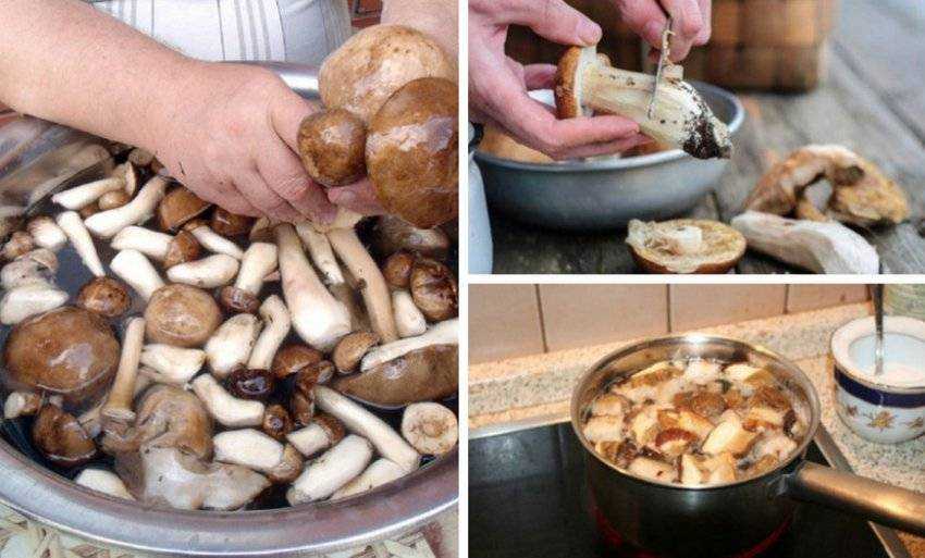 Сколько варить белый гриб до готовности