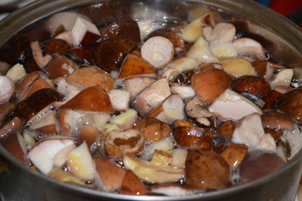 Грибной суп из замороженных грибов: 5 фото рецептов