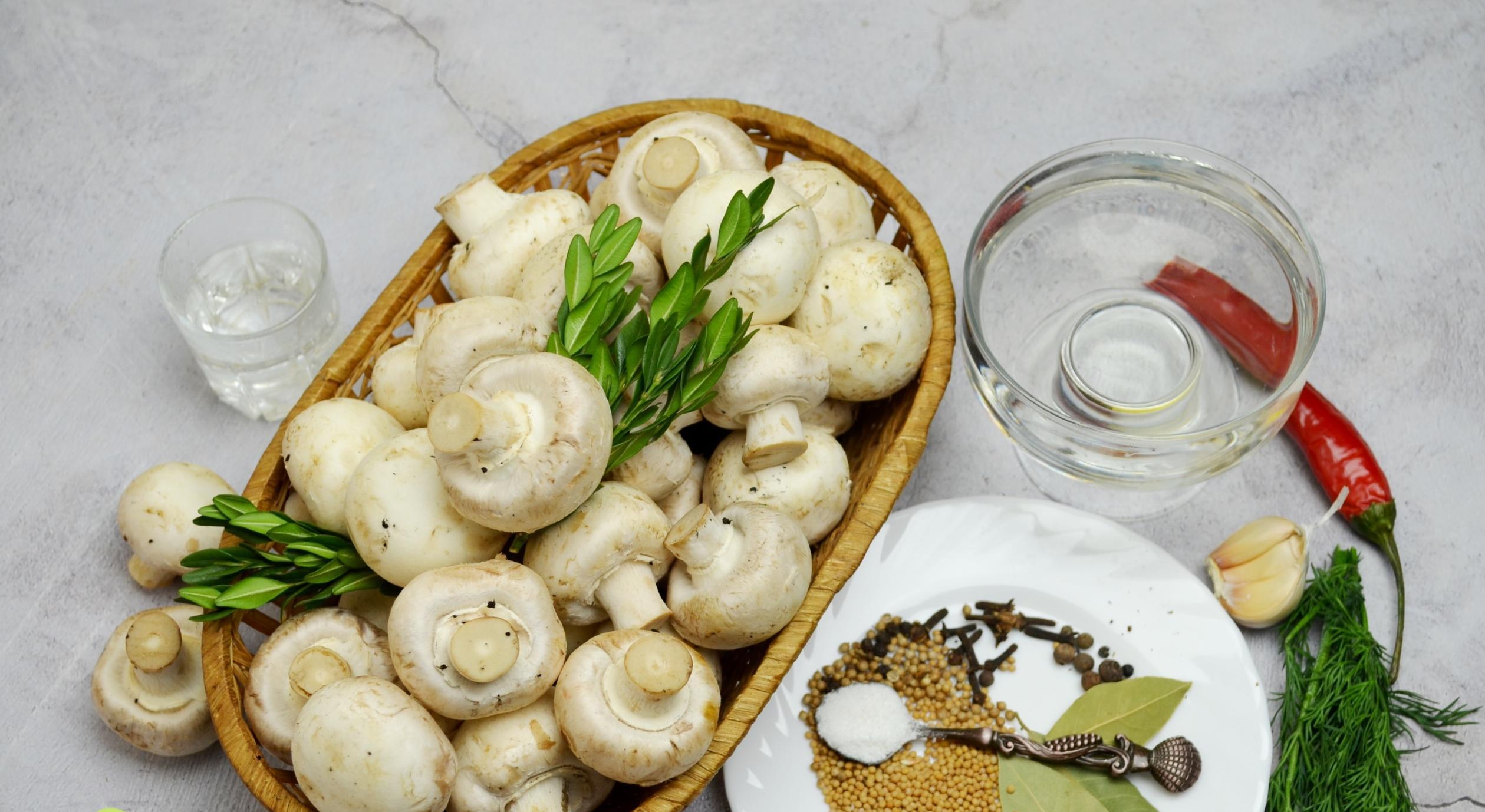 Грибные супы из груздей: фото и рецепты, как правильно приготовить первые блюда