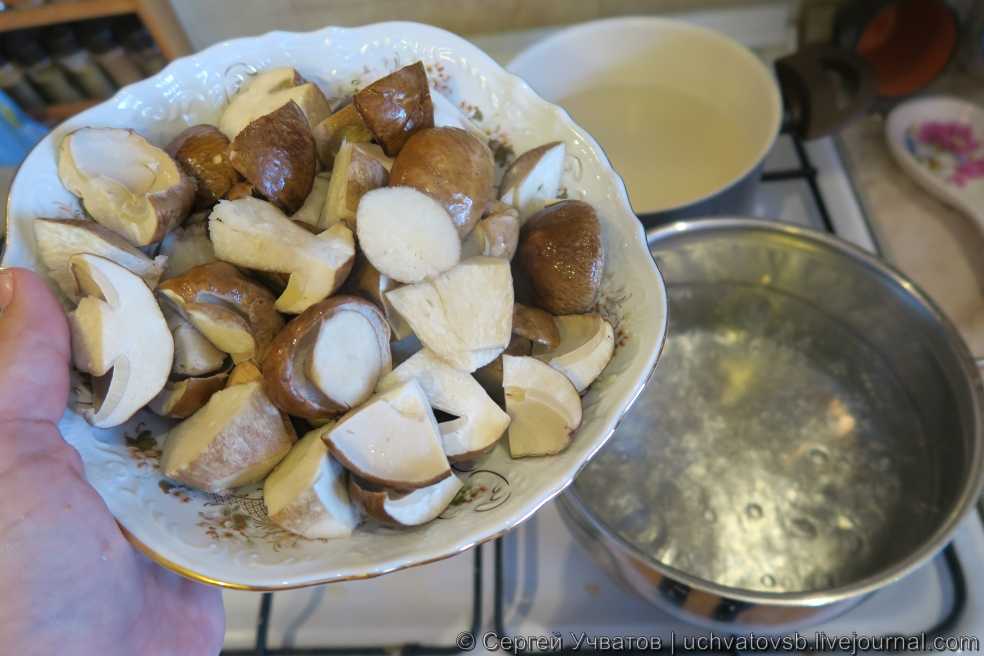 Замачивание сушеных белых грибов перед варкой: нужно ли, сколько вымачивать