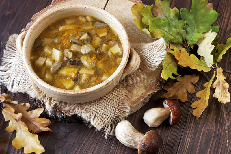 Грибной суп: 14 самых вкусных рецептов приготовления