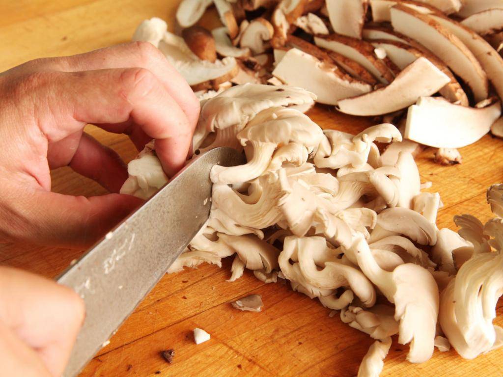 Как правильно приготовить вешенки грибы. как правильно готовить вешенку: нюансы