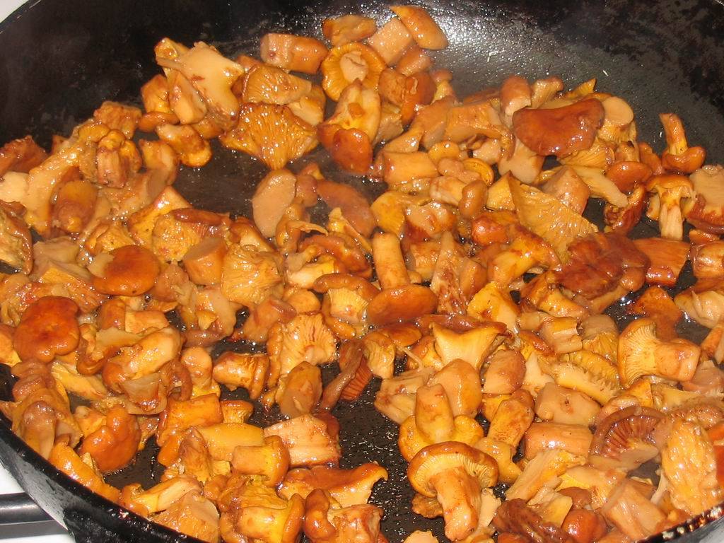 Как приготовить рыжики на сковороде: фото, видео и рецепты, как жарить грибы
