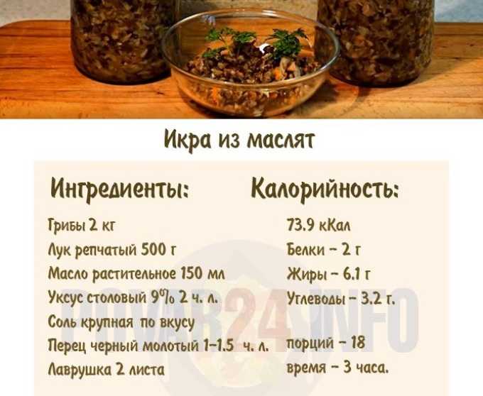 Рецепт икры грибной спомидорами, овощами, чесноком, из вешенок, опят, подберёзовиков - женский журнал wumens.su