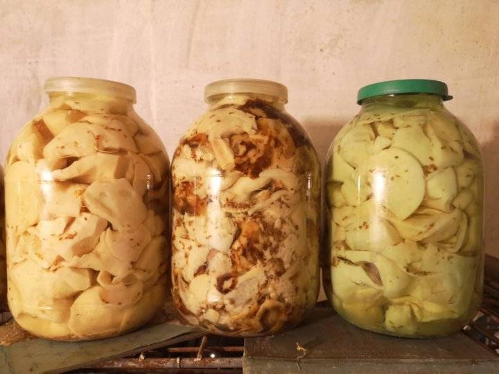 Как готовить валуи: фото и рецепты приготовления грибов на зиму способом засолки и маринования