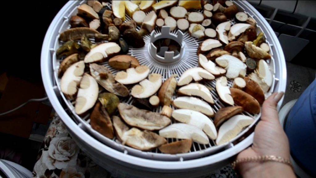 Как сушить грибы - в духовке, на нитке, микроволновке, электросушилке