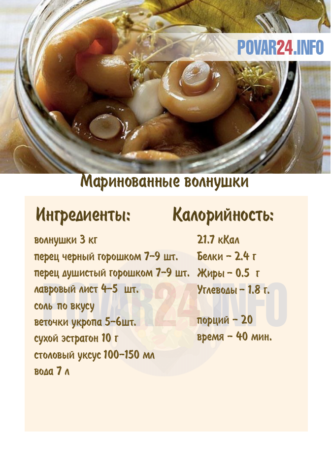 Простые и вкусные рецепты маринованных волнушек