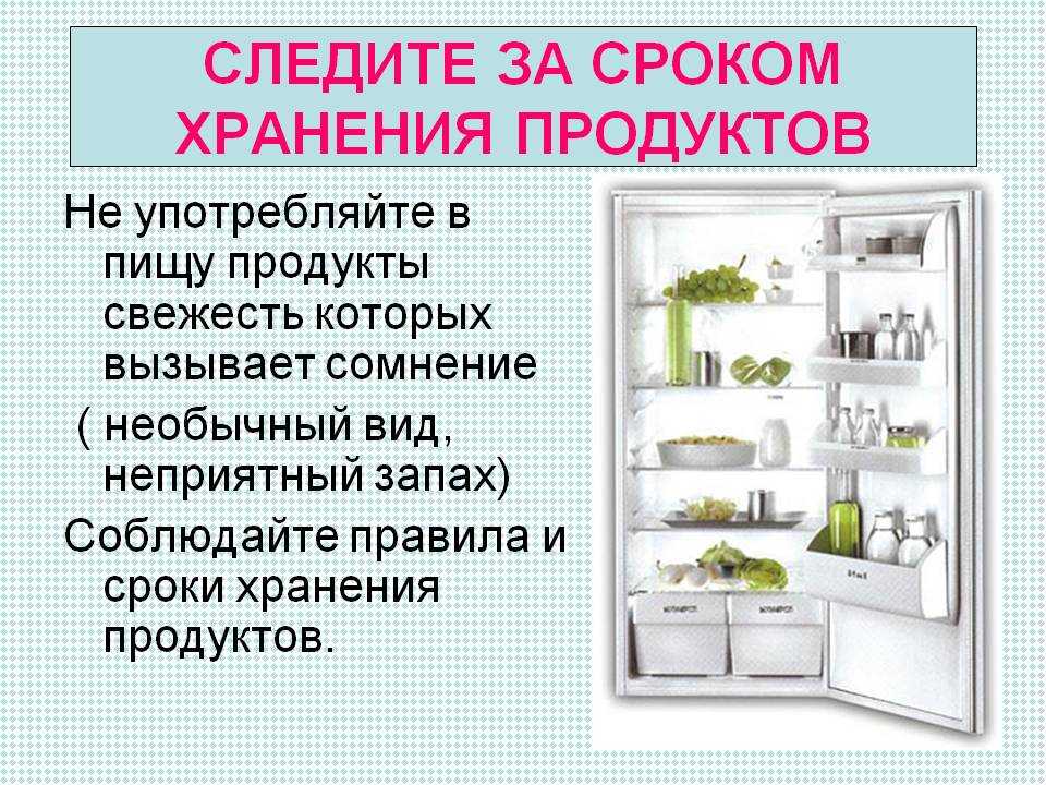 Как сохранить белые грибы: в холодильнике, морозилке, как правильно сушить, консервировать, условия и продолжительность хранения продукта