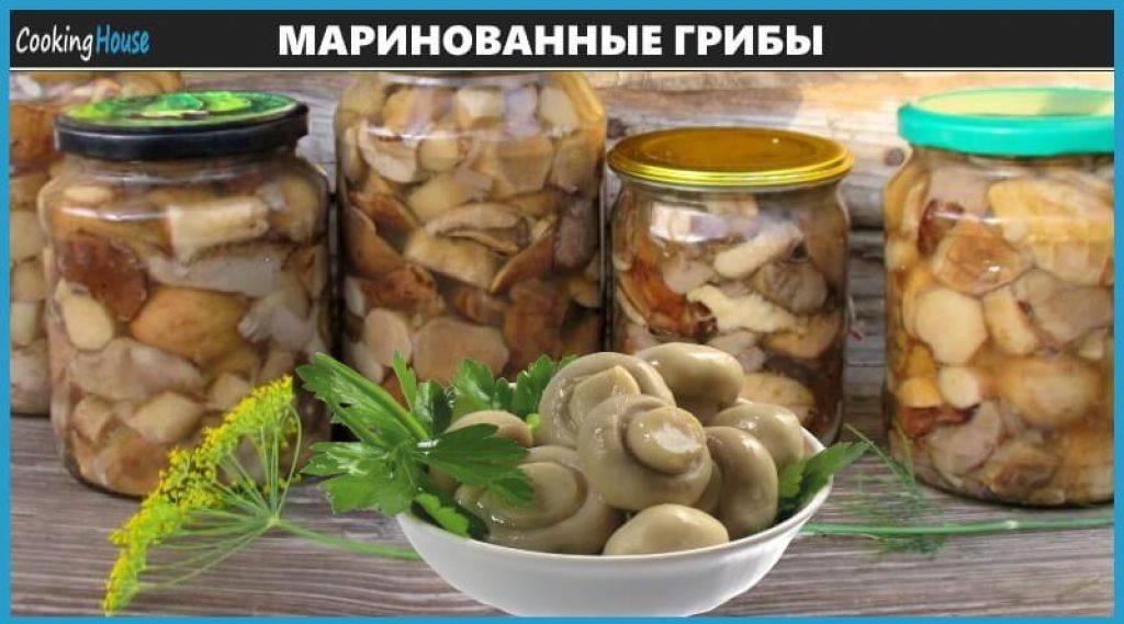 Маринованные подосиновики – рецепт. лучшие рецепты маринованных грибов на зиму в банках с уксусом