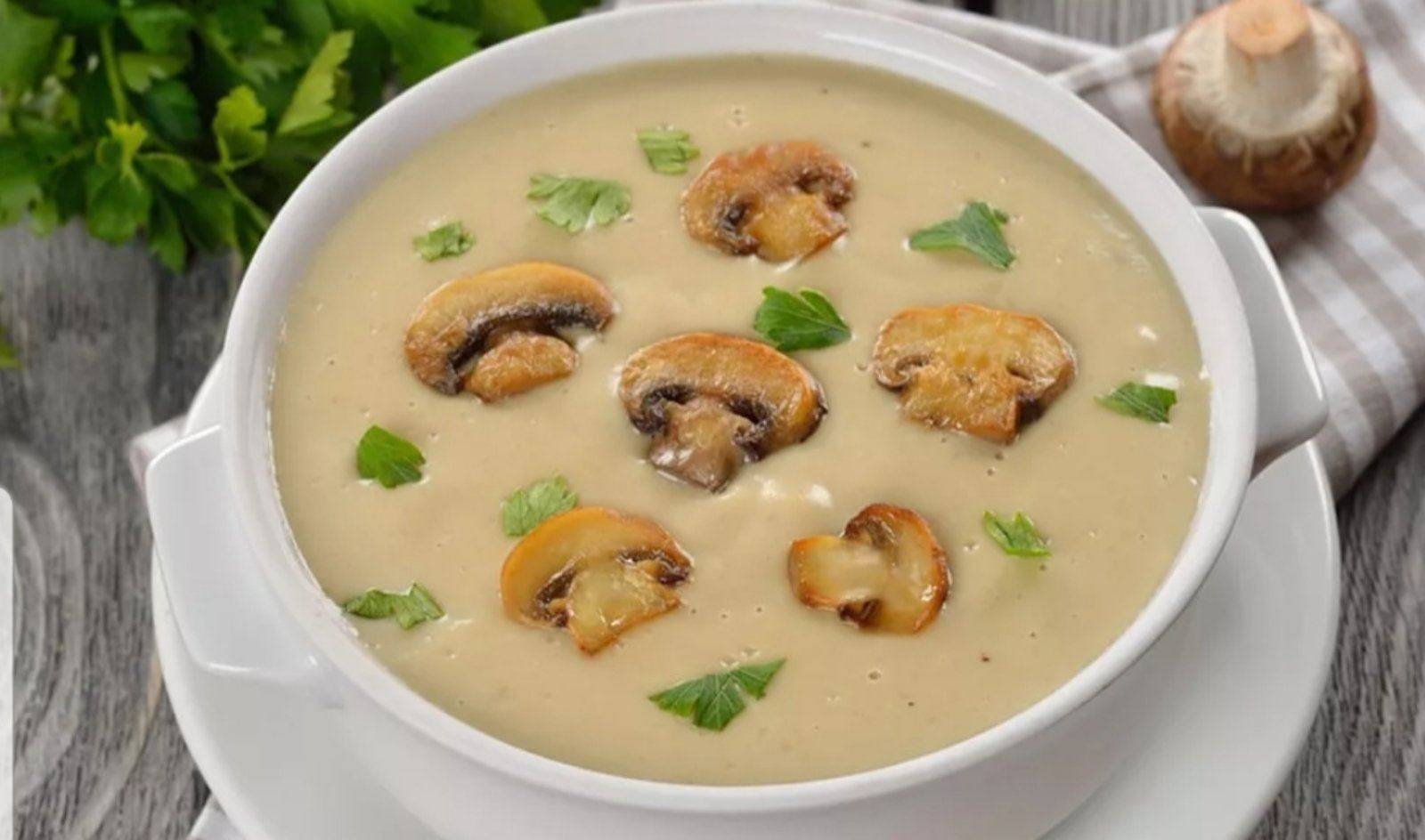 Грибной суп из свежих грибов, самые вкусные рецепты