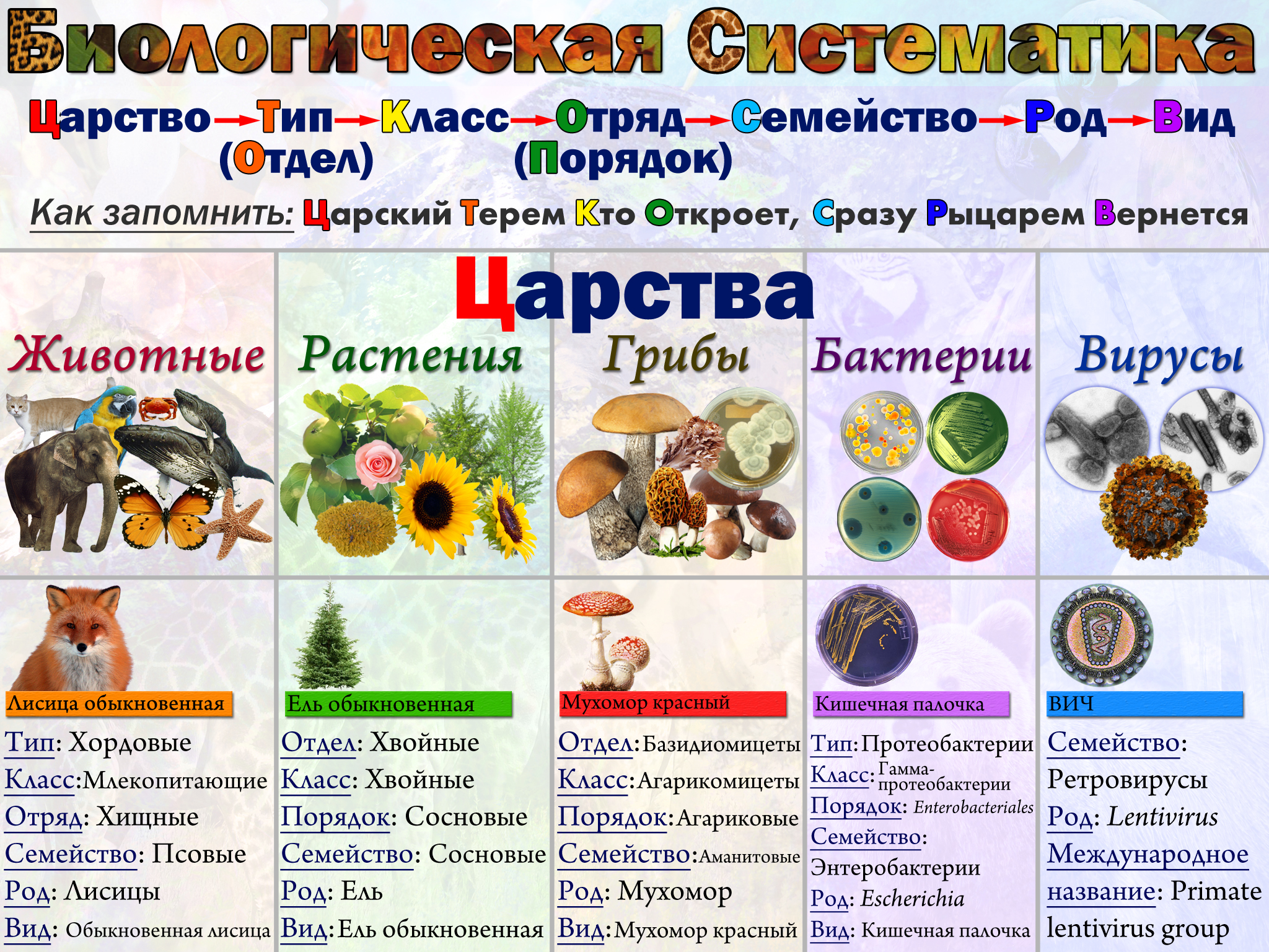 Аскомицеты | справочник пестициды.ru